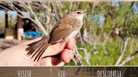Creación de un hotel para insectos