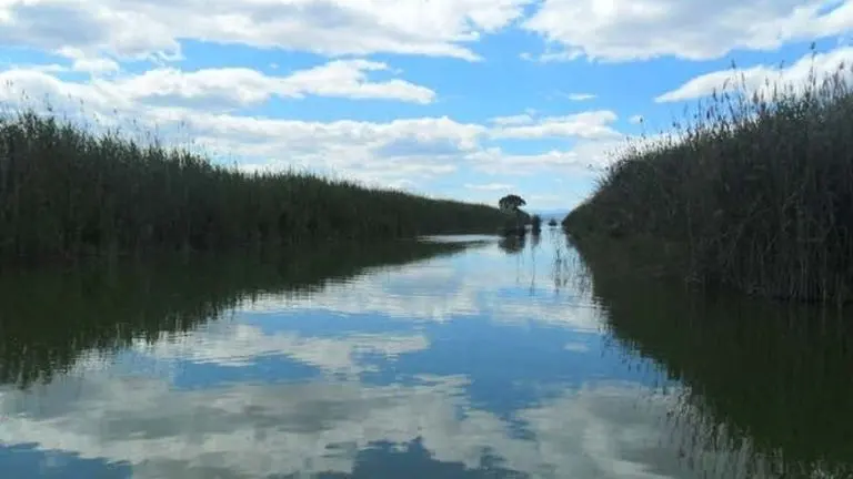 Paseo en barca por la Albufera
