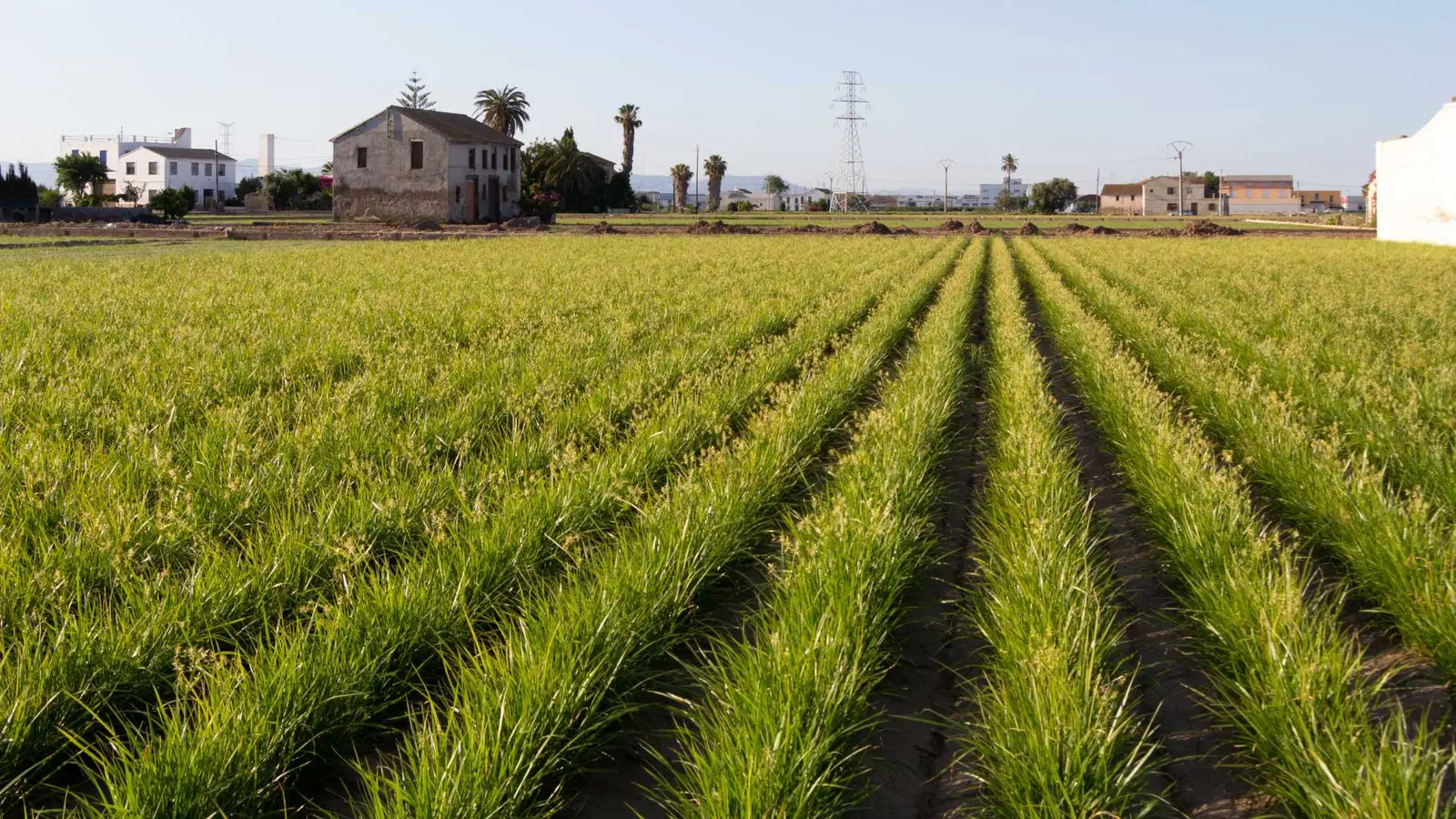 Miradors de l’Horta en L'Horta Nord de Valencia