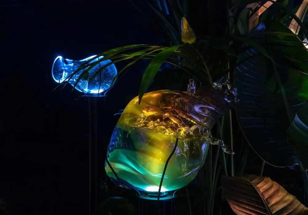 Ausstellung «Tania Candiani. Radix»