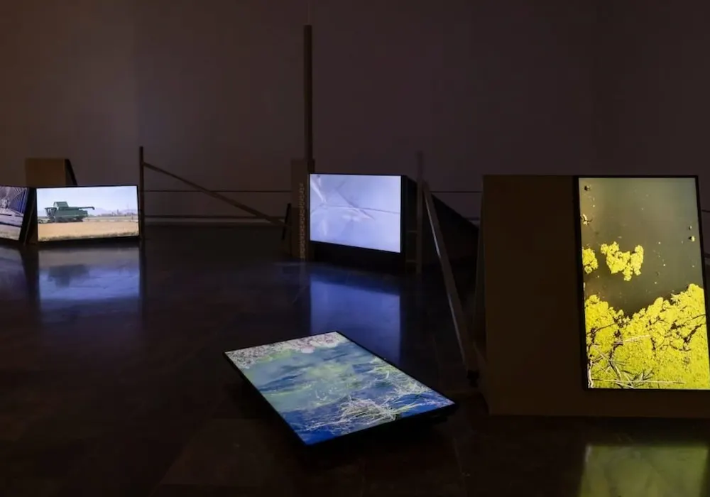 Exposition sur L'Albufera au IVAM de Valence